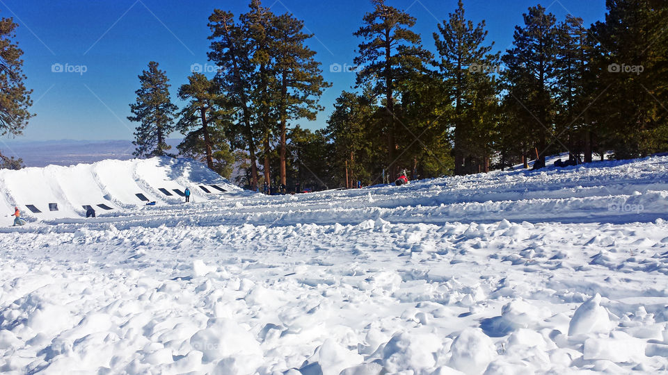 Snow California