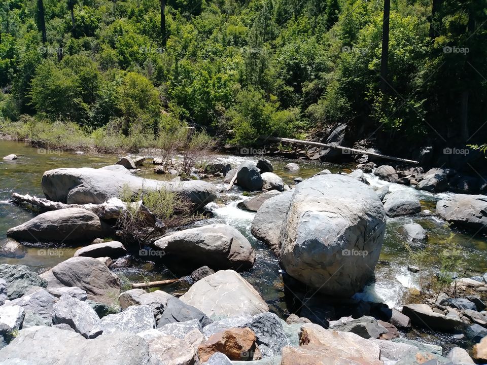 beautiful stream with rocks