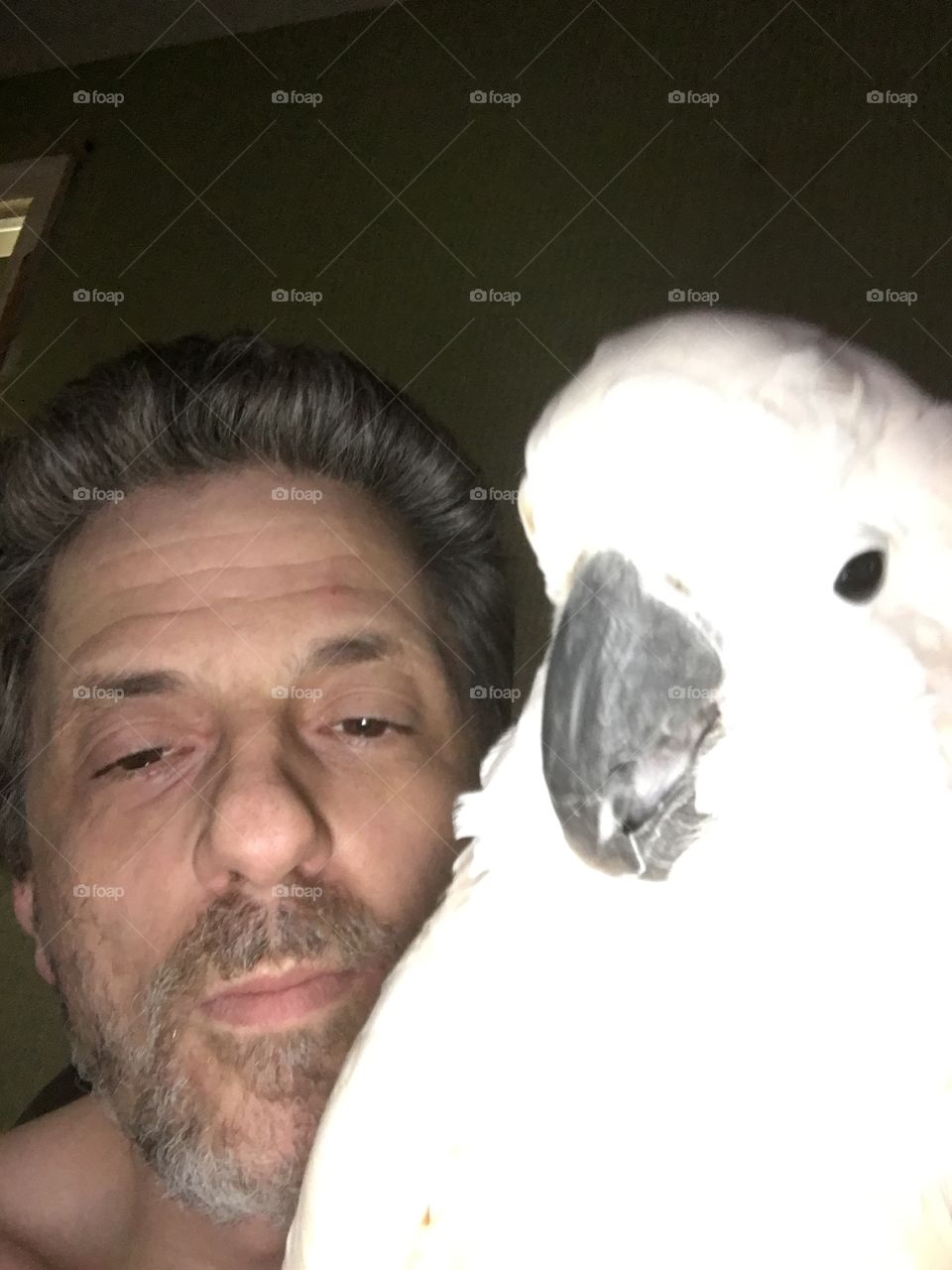 Cockatoo And Man 