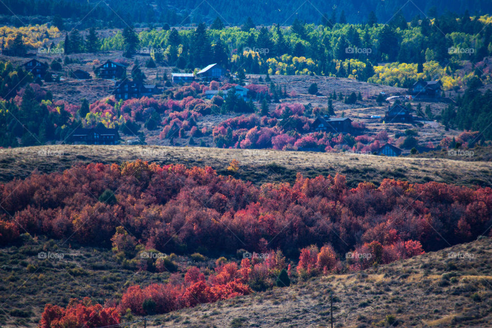 Autumn landscape 