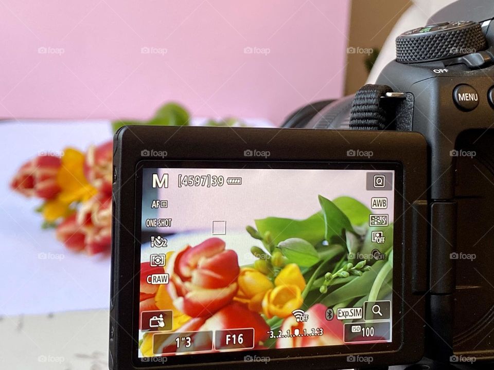 Taking pictures of beautiful flowers 