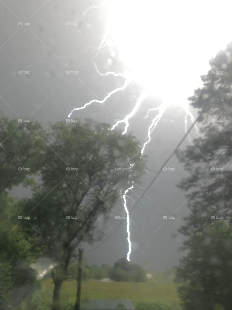 Brilliant Lightning bolts flashing among trees. 