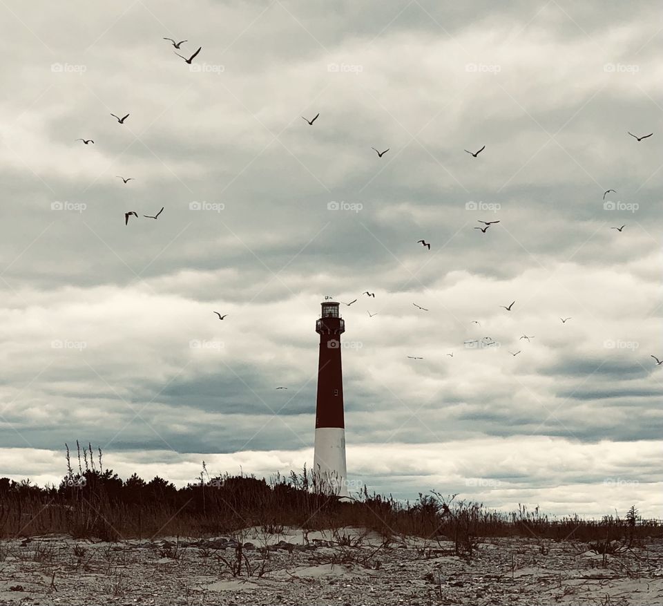 A muted lighthouse on a cloudy day with seagulls flying overhead. 