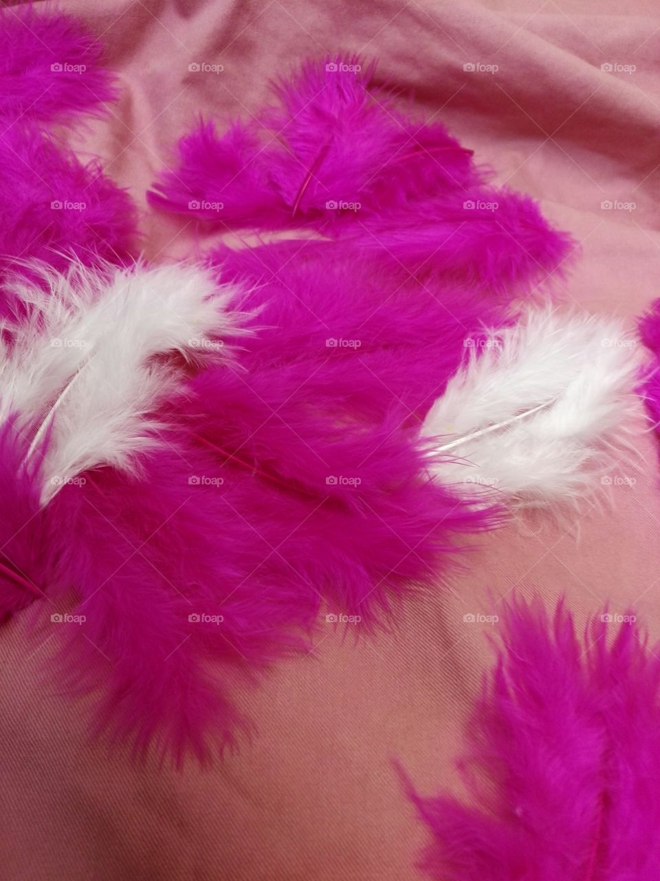 pink feathers on a pink pillow