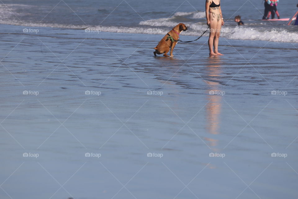 Woman and her dog on the beach