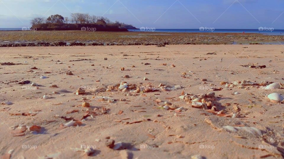 Pink Beach Lombok Island