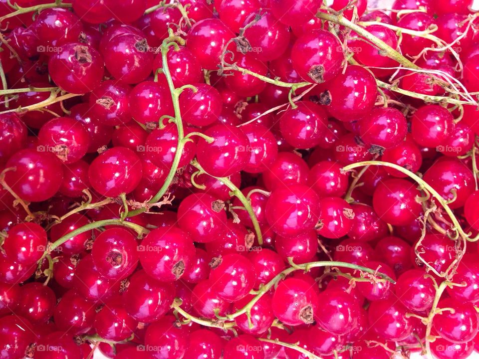 Red currant