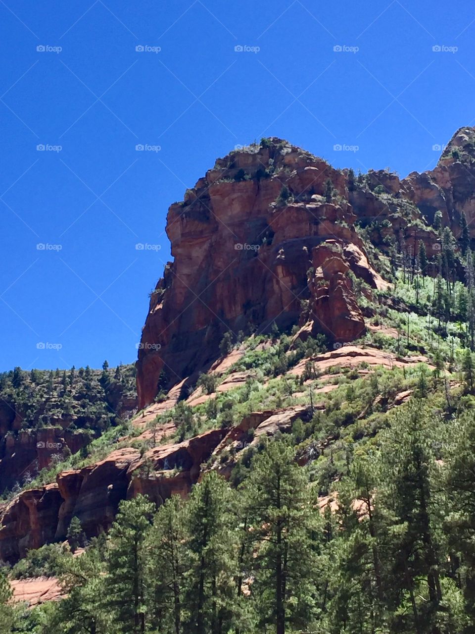 Oak Creek Canyon 9