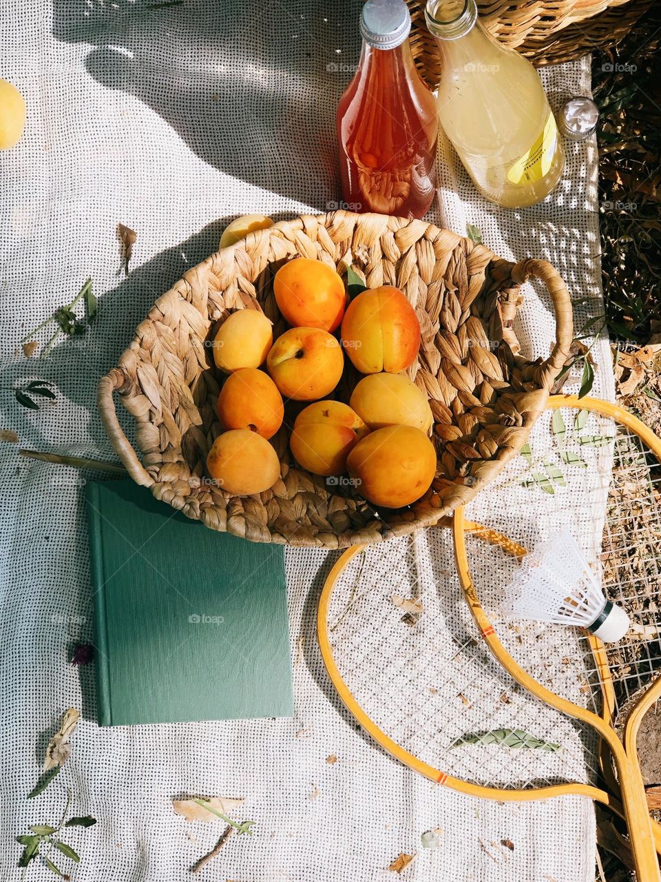 Picnic in the park in sunny summer day, nobody 