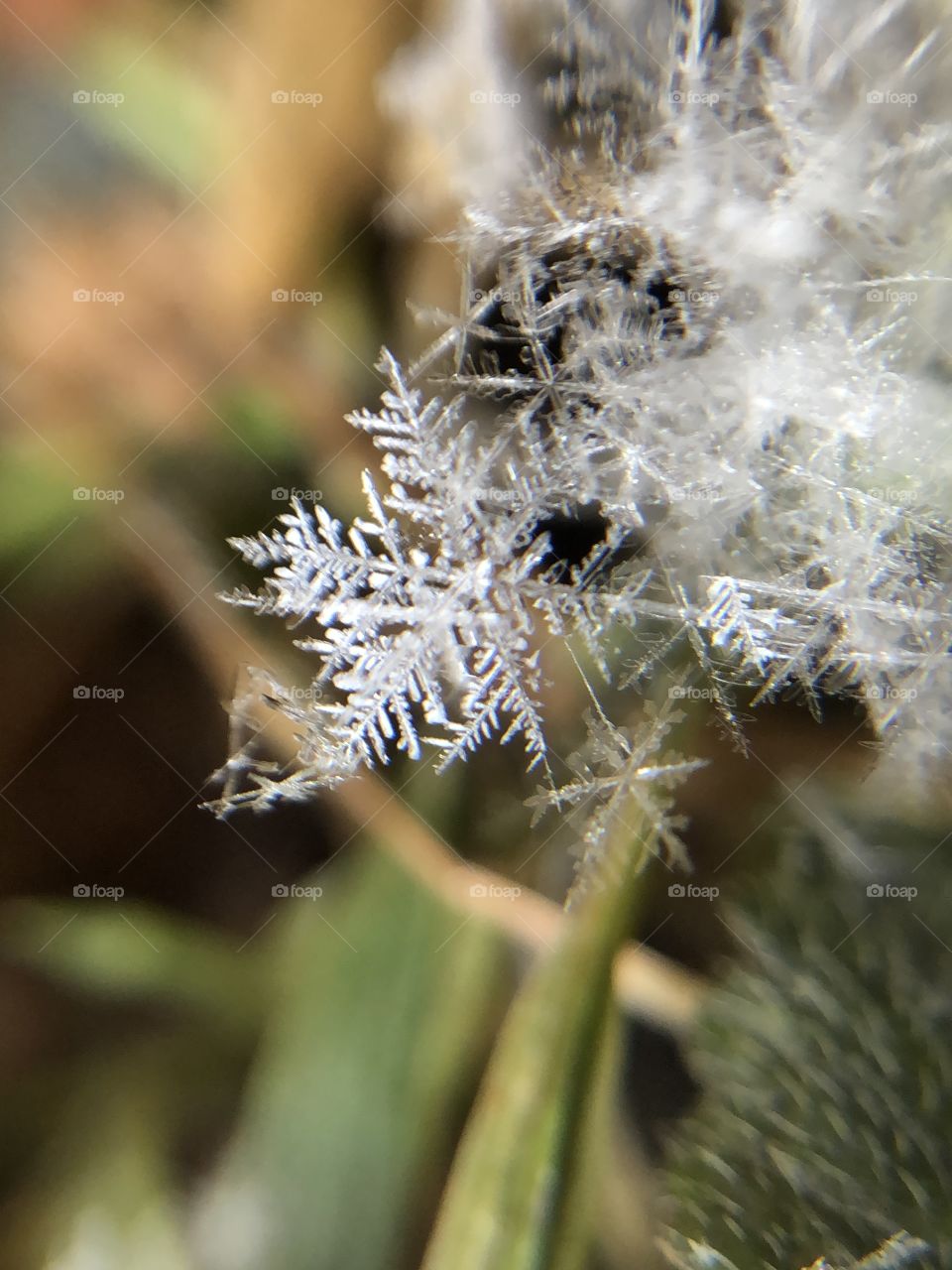 Snowflake macro