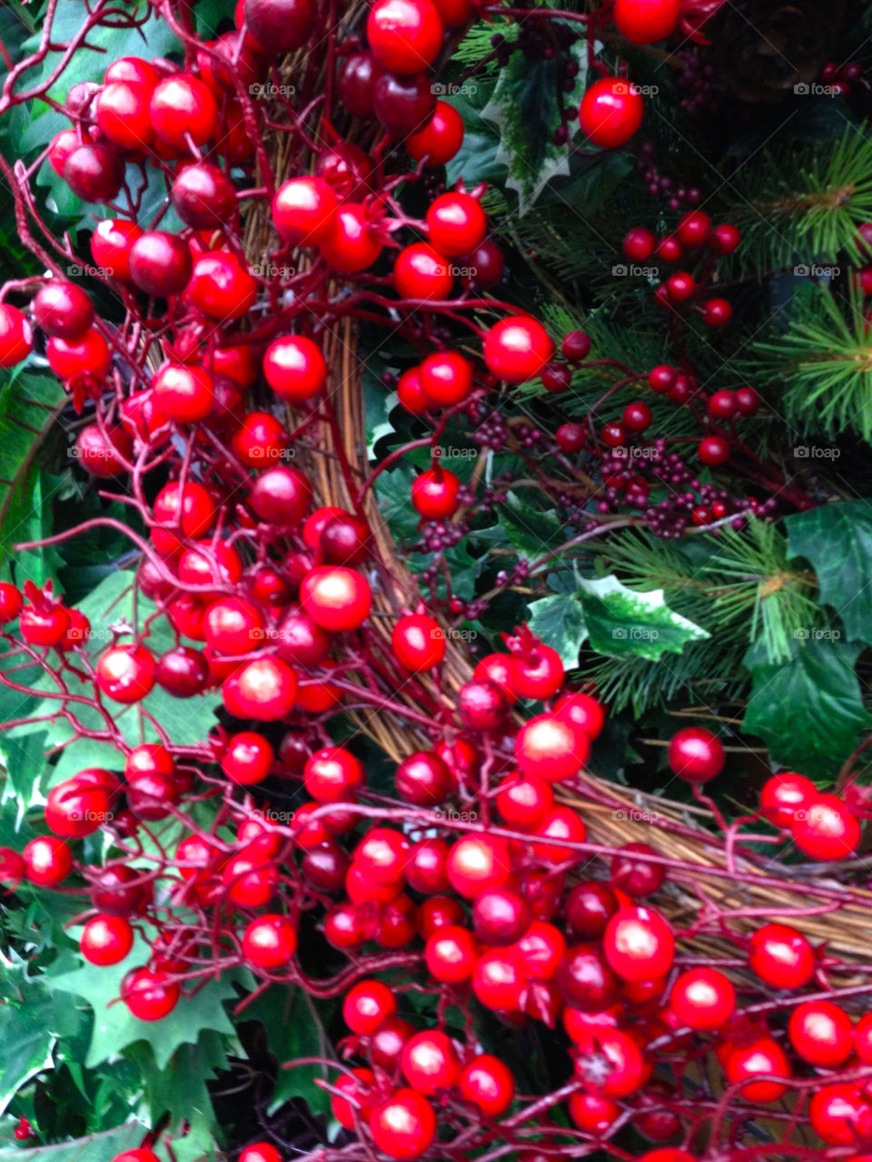 christmas decorations red beautiful berries by anglauderdale