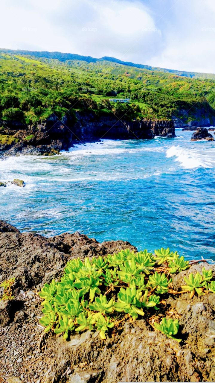 a day by the sea at Maui