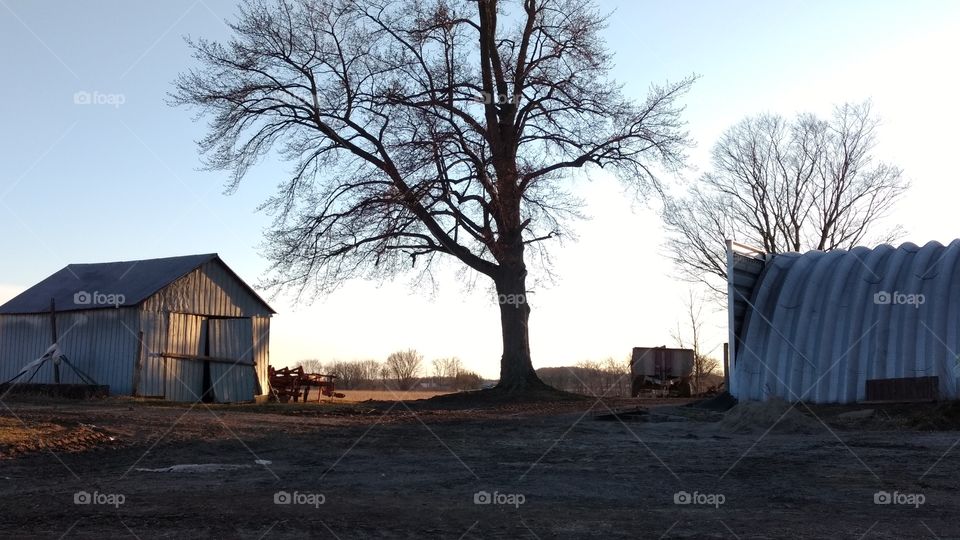 Barn, No Person, Landscape, Wood, Tree