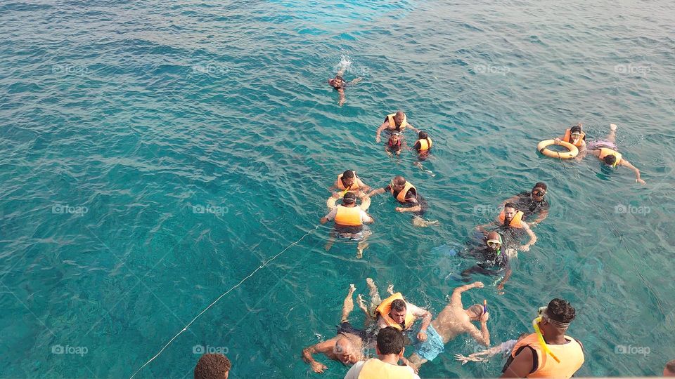 swimming hurghada summer