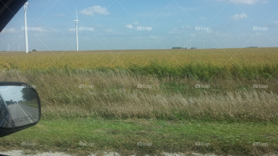 Iowa Windmill