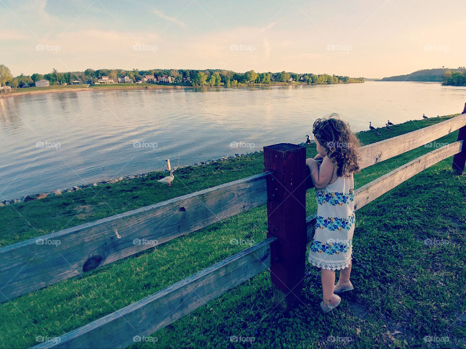 Duck watching