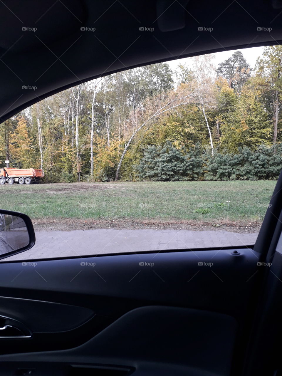 autumn forest seen from the car window