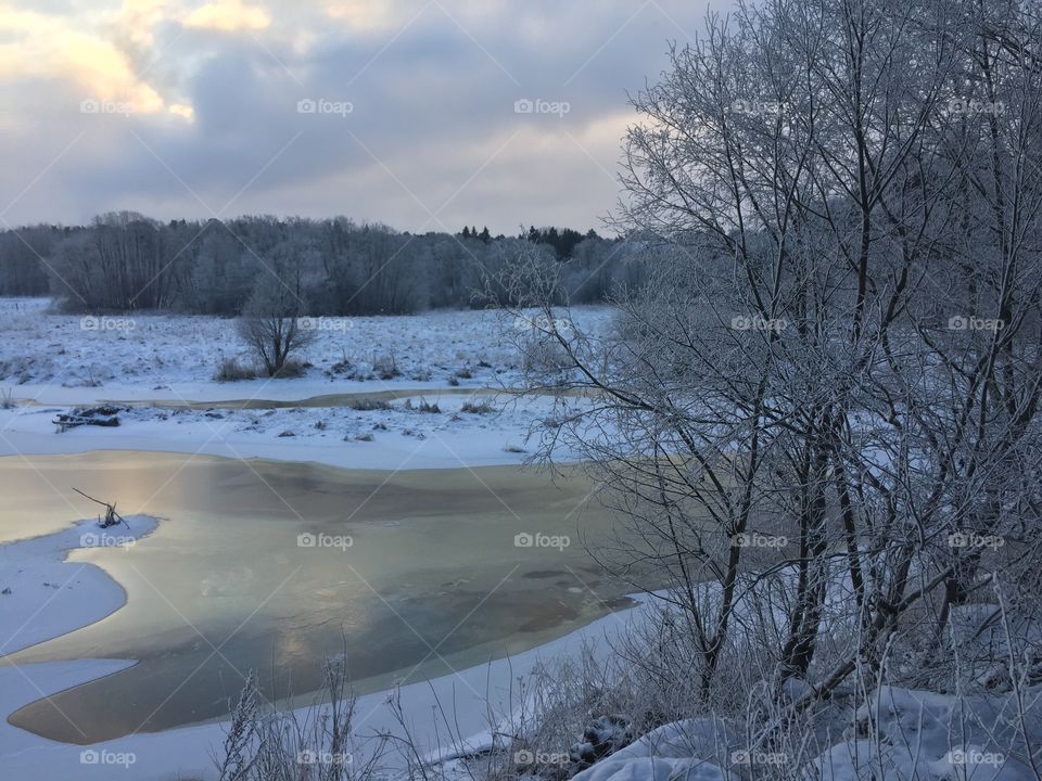 Frozen river and forest 