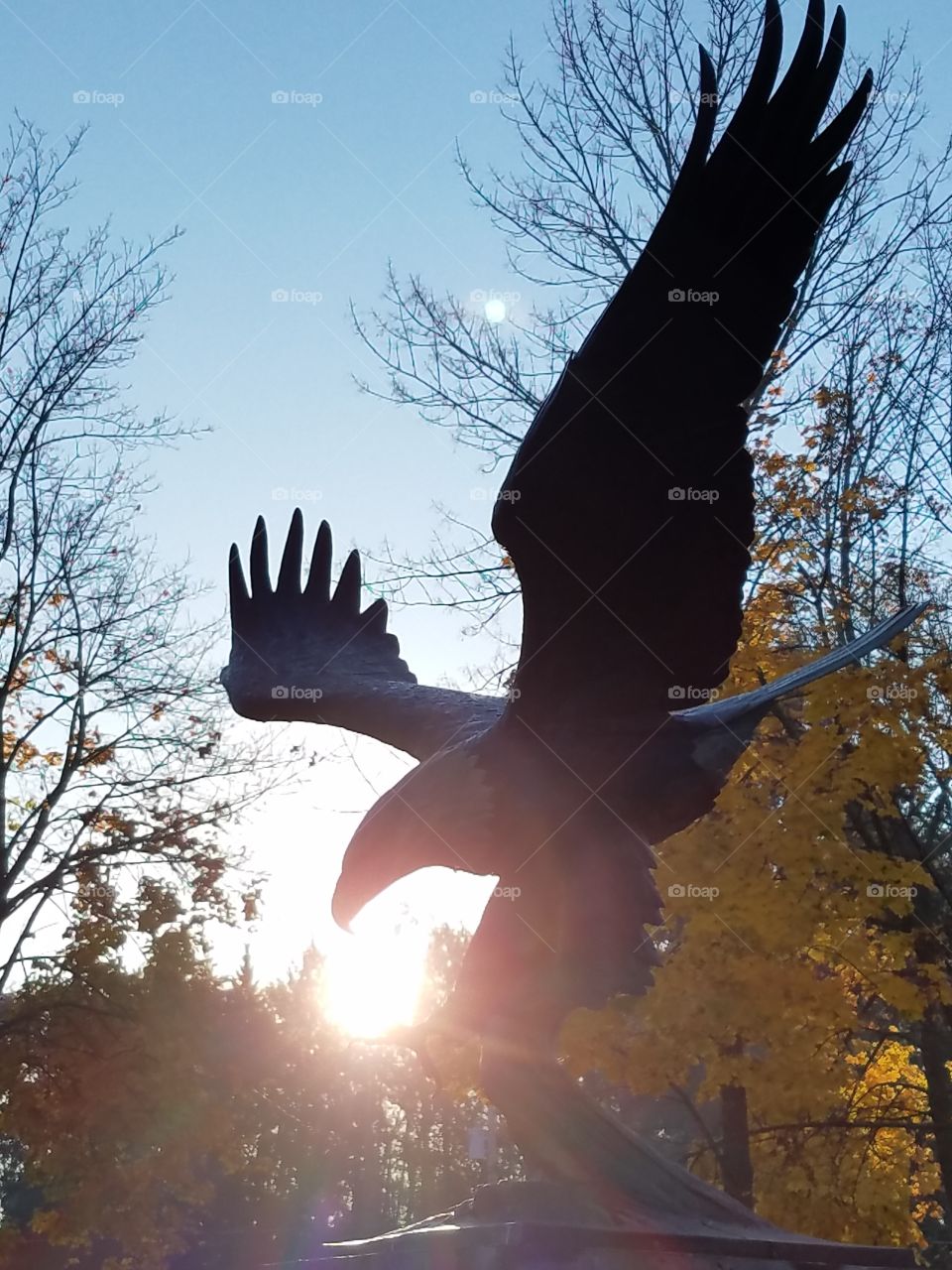 Sculpture of flying eagle