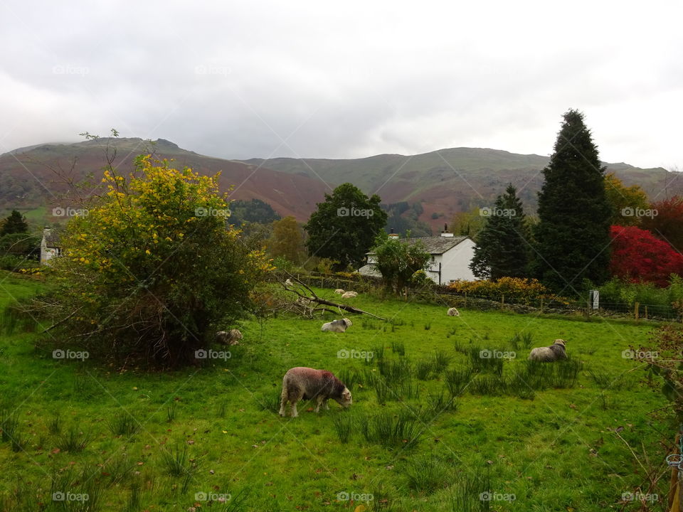 Cumbria