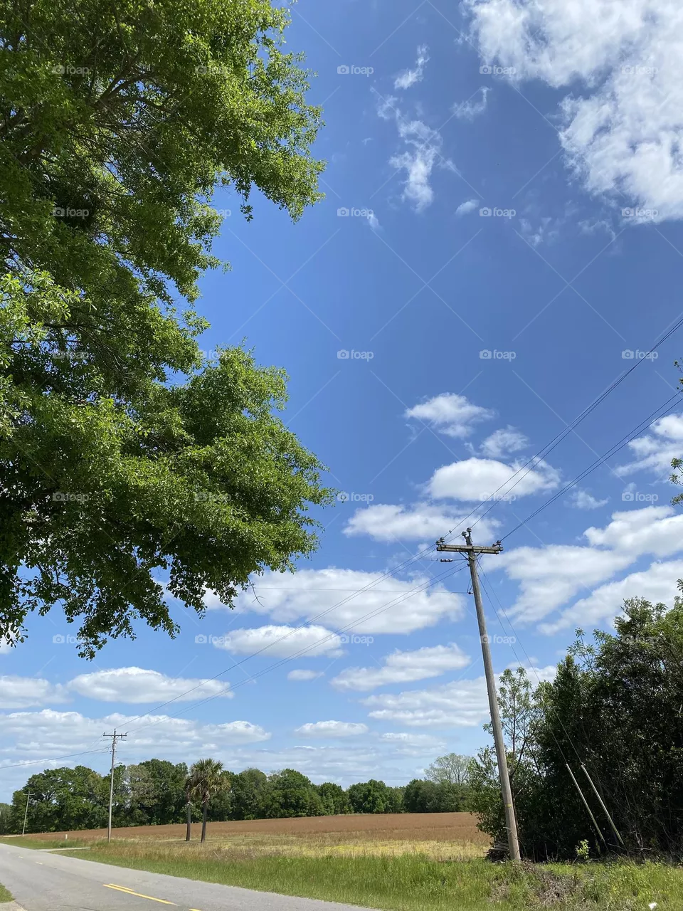Country road 