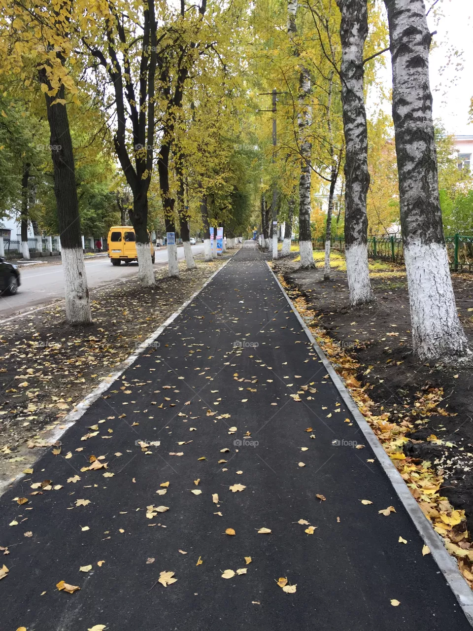 Autumn 