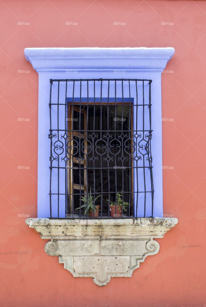 Pink wall. Window in Oaxaca, Mexico 