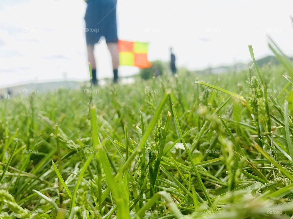 Beautiful close up of green blades of grass on soccer field with stark white cloudy sky! 