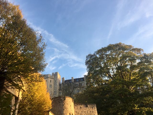 Windsor 