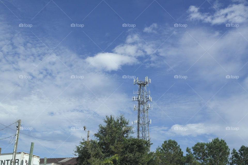 Cellular phone tower in the skyline over the trees