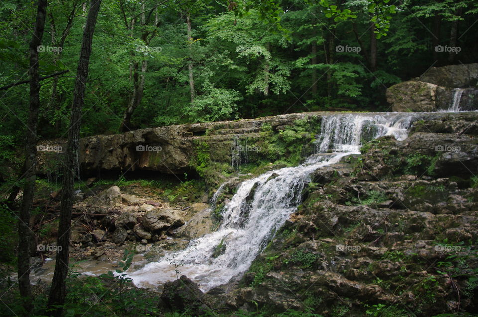 View of waterfall in forest