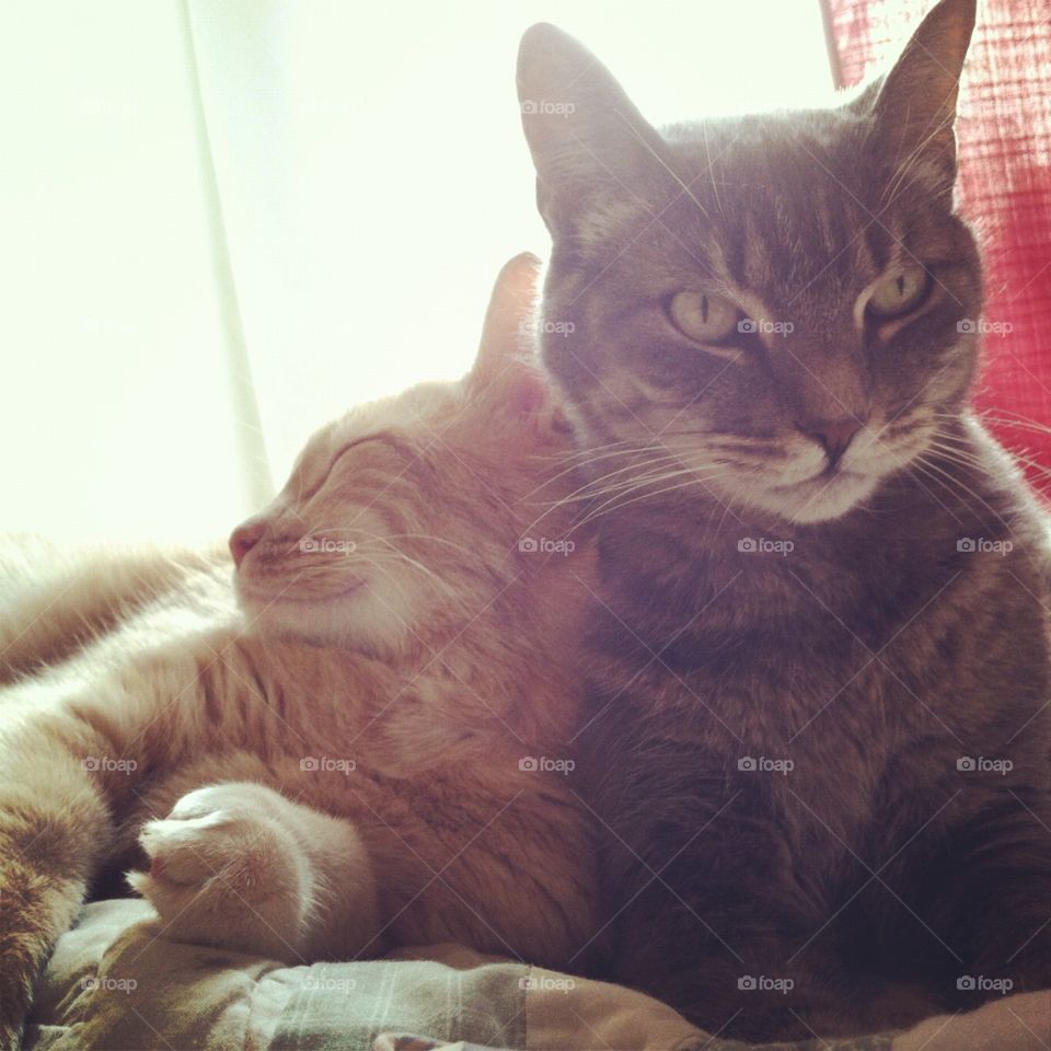 Snuggling boys. 