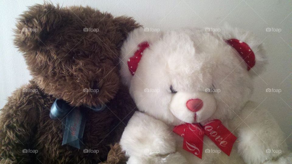 Teddy Bear Couple 