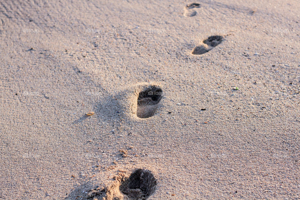 footprints