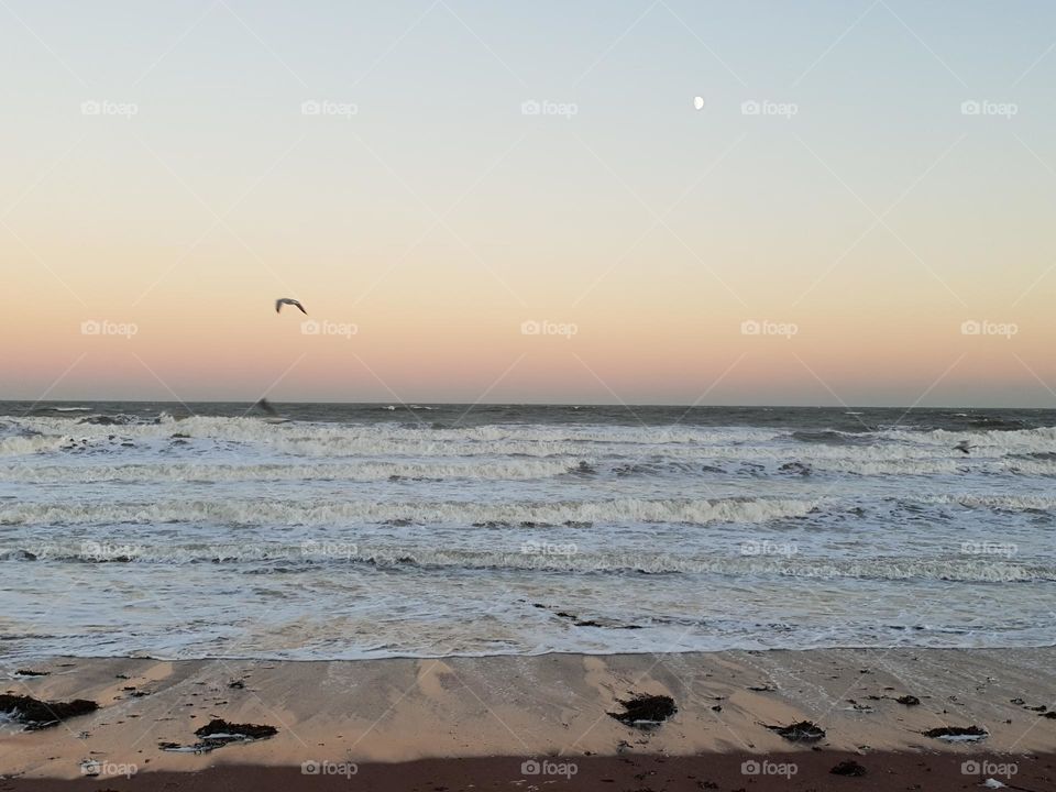 come along to spring at the beach