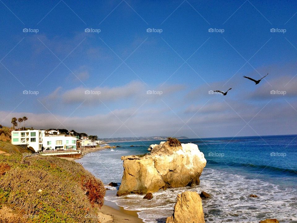 California coast 