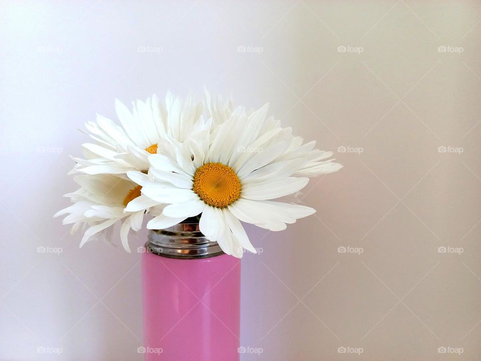 bouquet of daisies.