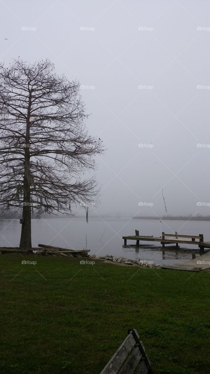 fog bound
