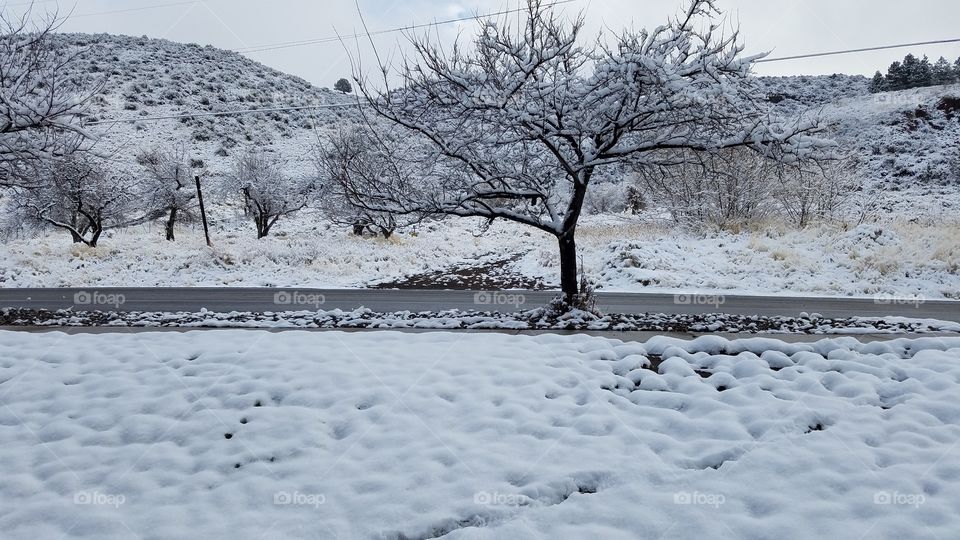 First Snow