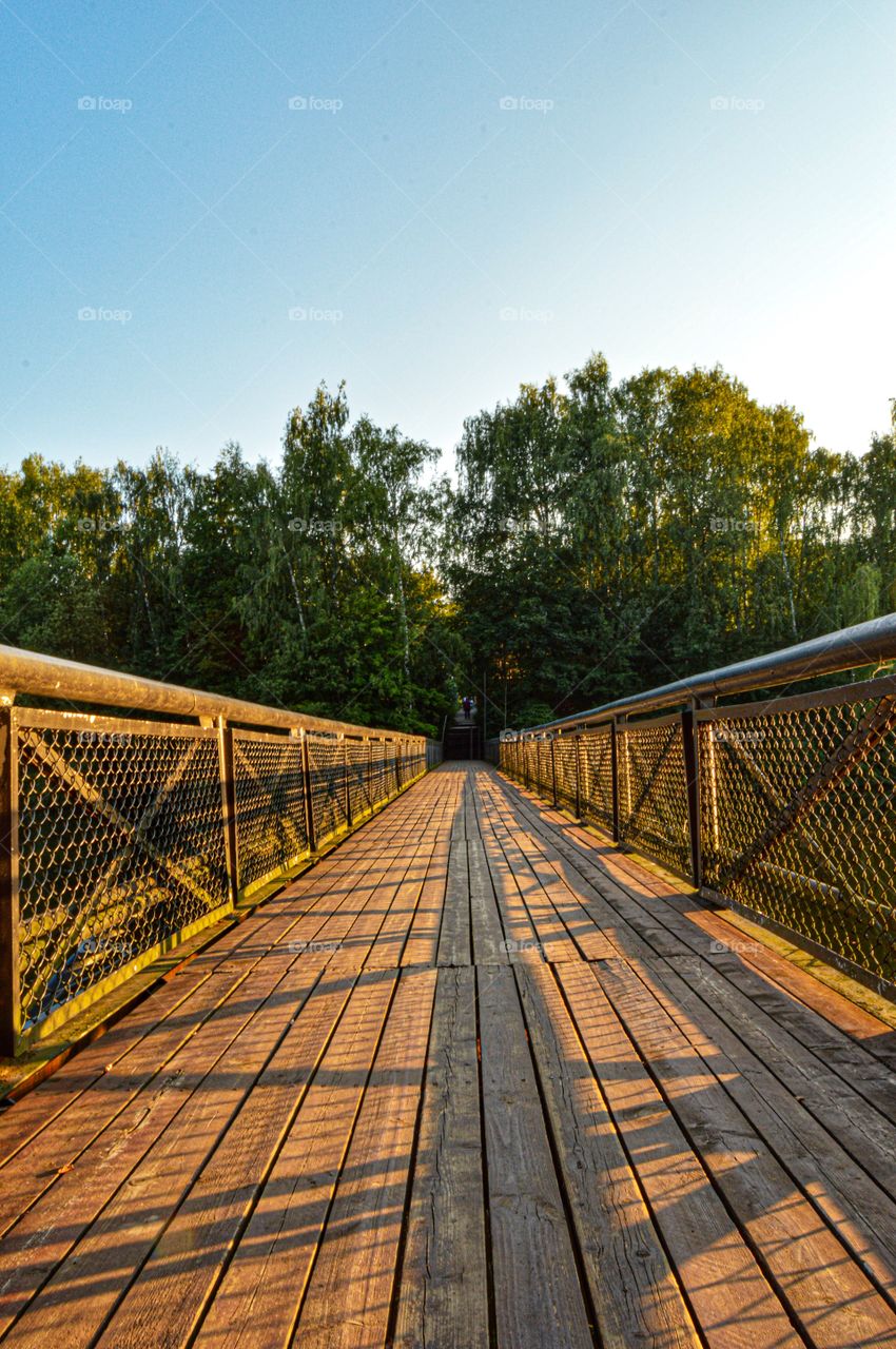 The bridge not only provides a safe and convenient crossing, but is also an inexhaustible source of inspiration