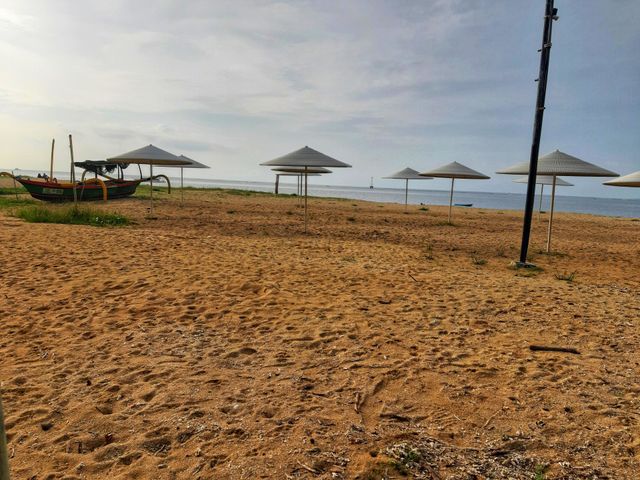 the beach and its umbrellas