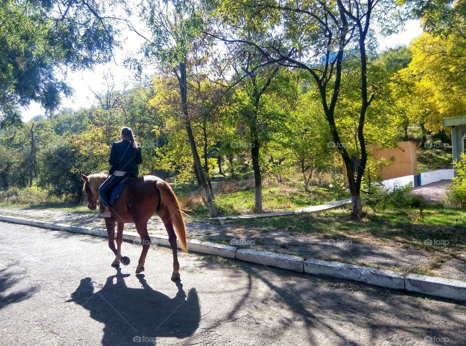 a girl on a horse