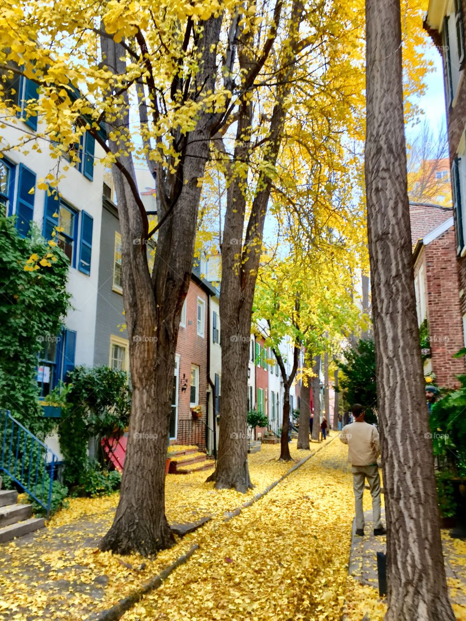 Fall on Quince Street, Philadelphia 