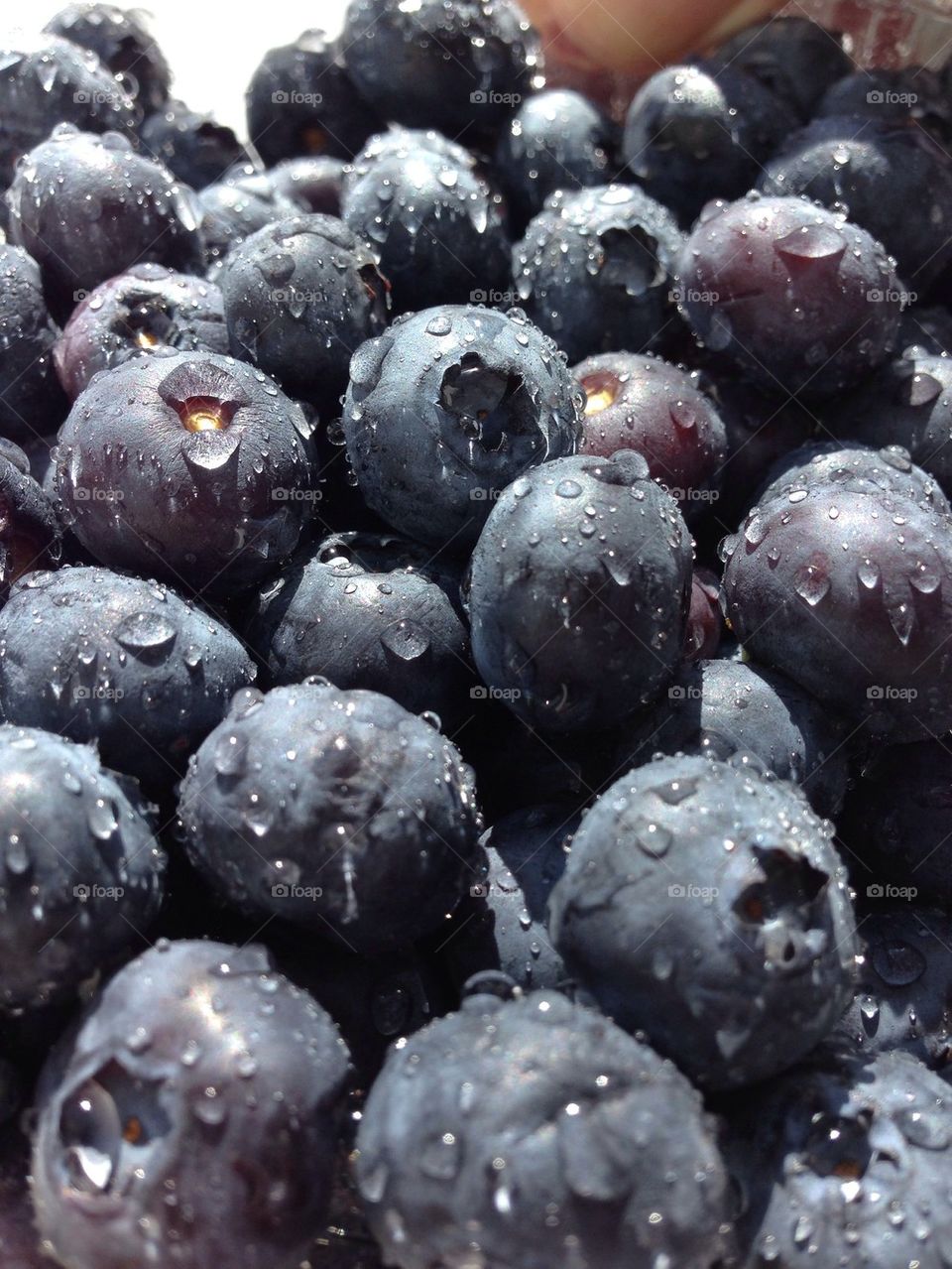 Blueberries