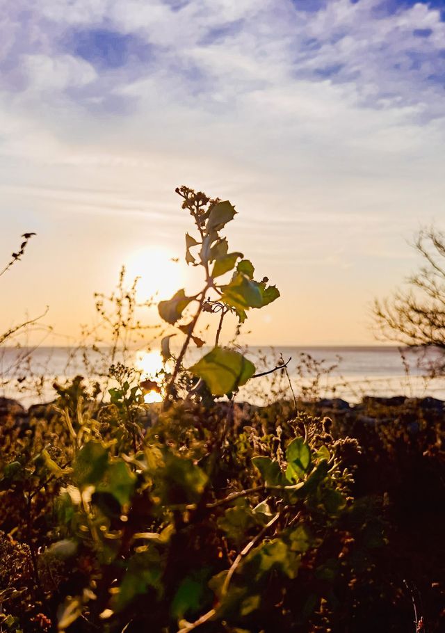 Sunset at the beach