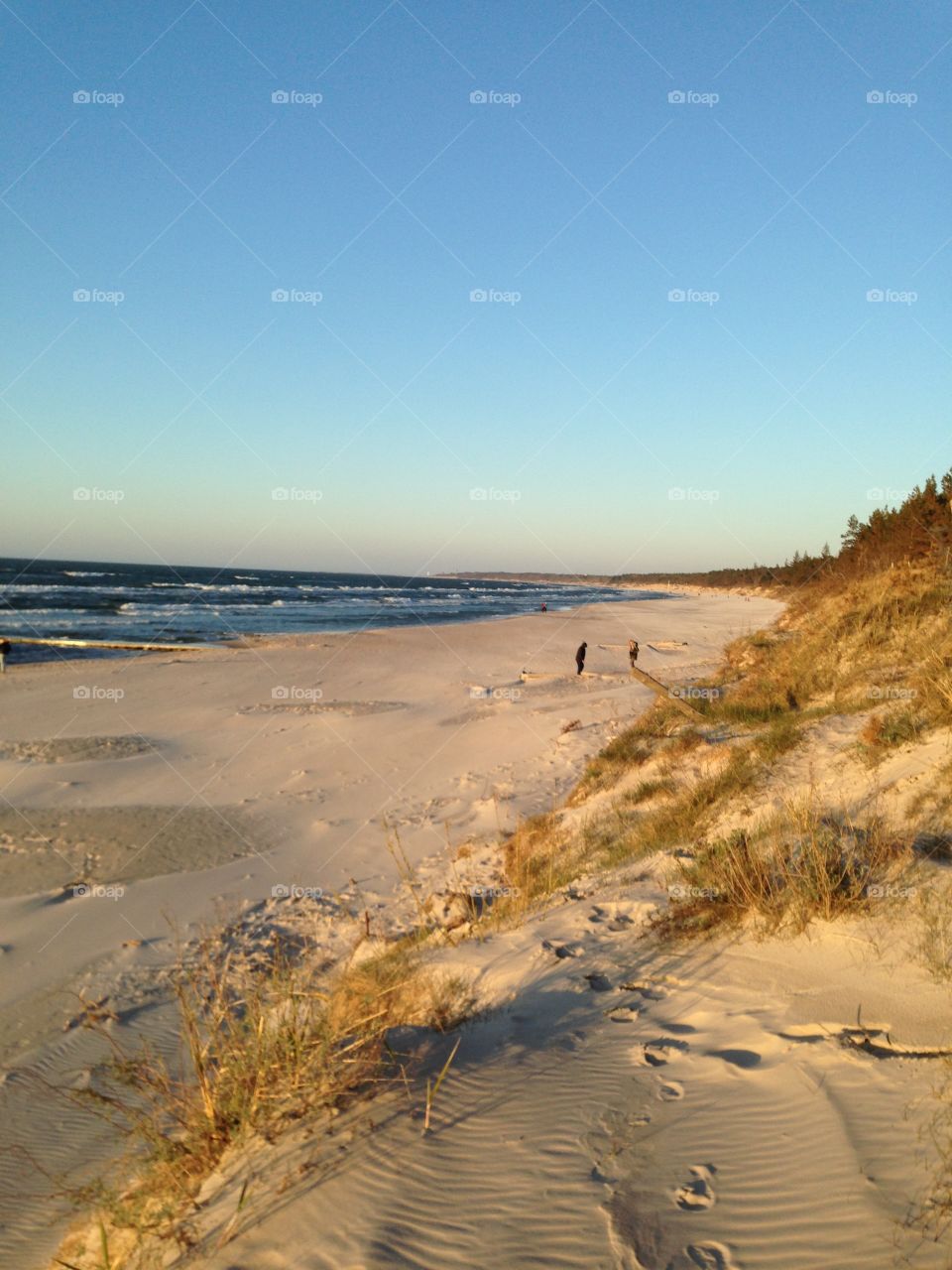 Sand dune at beach