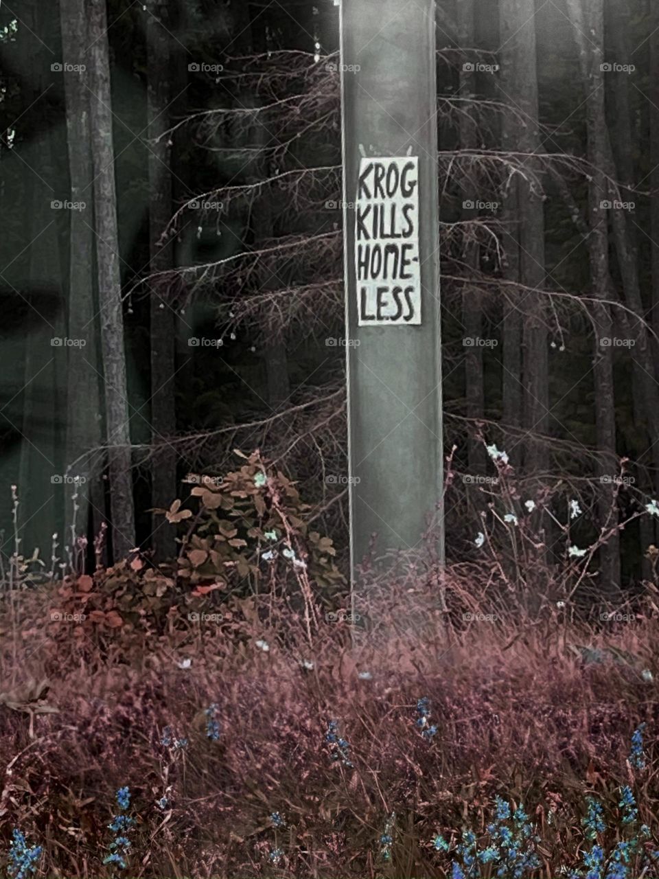 A strange menacing poster on a highway street sign. A shadow on the left that looks like the face of Krog himself?  Seems like a scene out of a horror film in the making. Light and colour manipulation make the scene surreal. I love it.