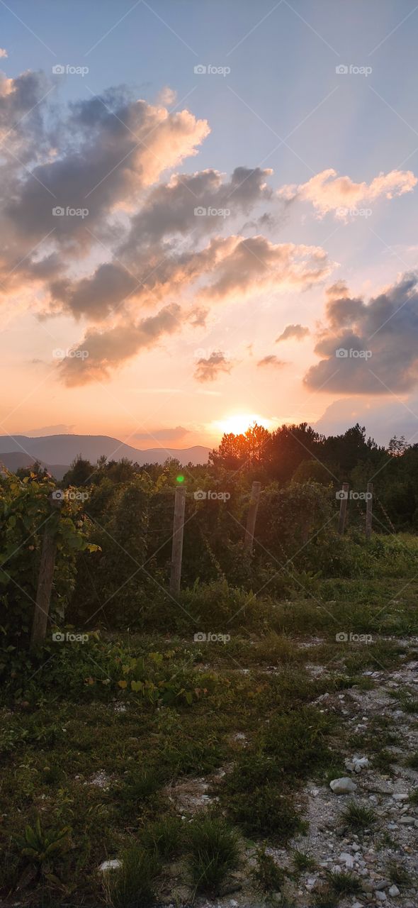 Abrau-Dyurso is a village in Russia. A place for growing grapes and producing wine and champagne. A place where you can simultaneously admire the sunset, a view of the lake through the vineyards and the sea among the mountains.