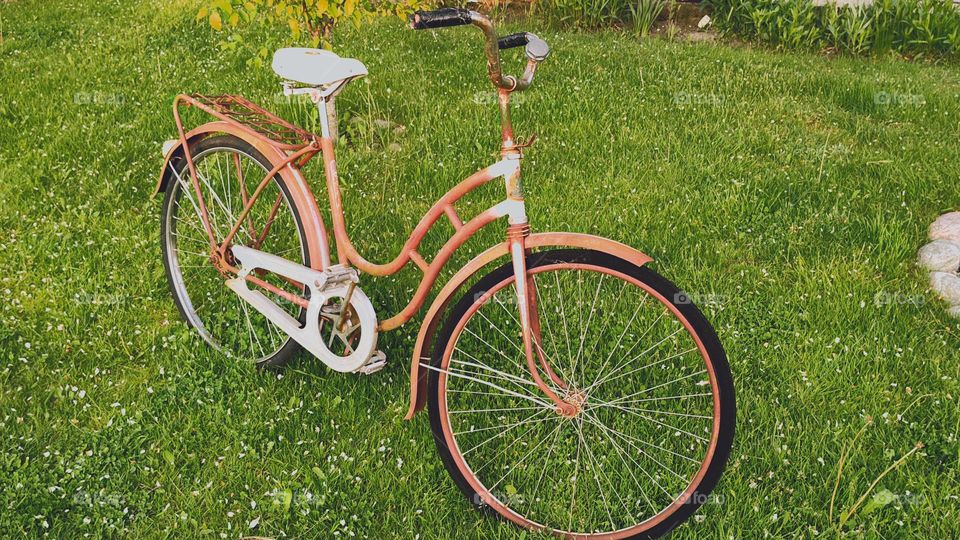 Old red bicycle