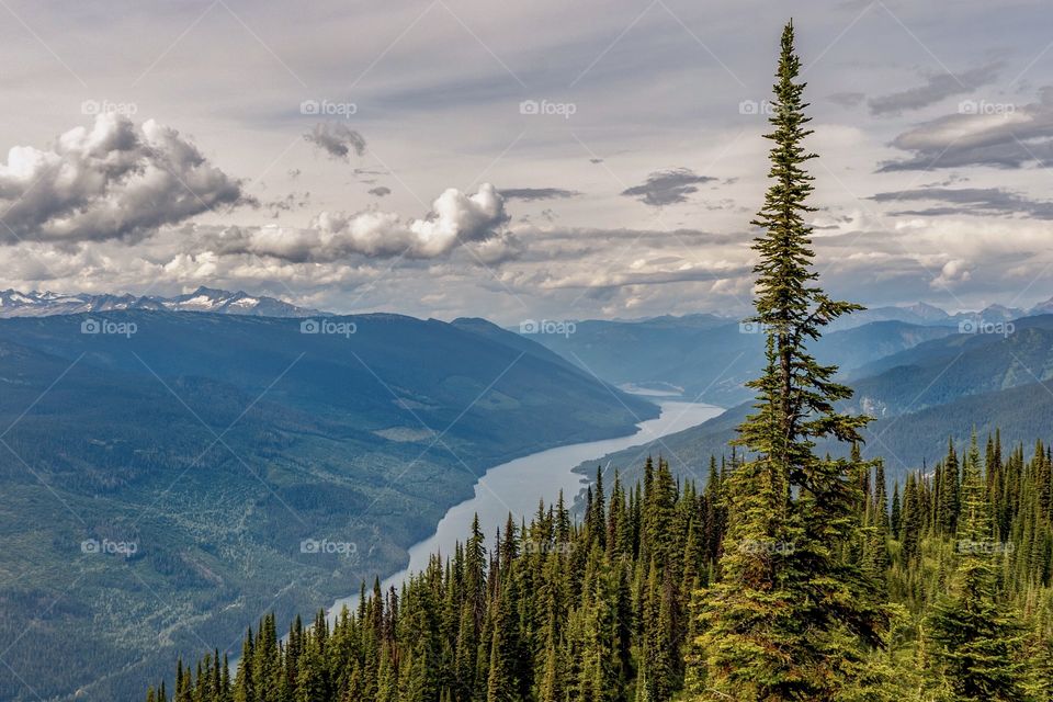 The mighty Columbia River in scenic Canadian valley 
